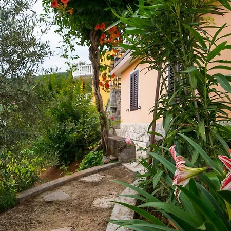 Alba Apartamento Medveja