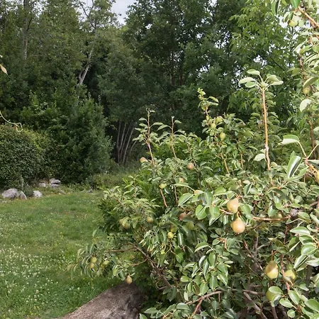 Alba شقة ميدفيجا