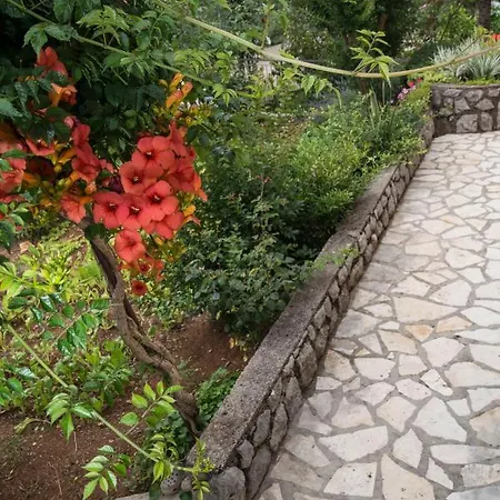 Alba شقة ميدفيجا