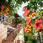 Alba Apartman
