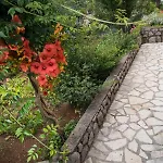 Alba Apartman Medveja