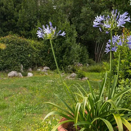 Apartman Alba