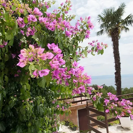 Apartament Alba Medveja